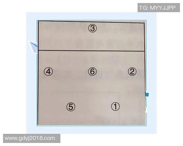 排球新手必看:从基础到战术的全面入门指南与技巧分享 排球新手必看:从基础到战术的全面入门指南与技巧分享