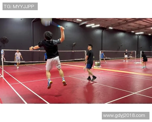 羽毛球的拼搏之路：上海羽毛球队奋斗历程的真实记录与感悟