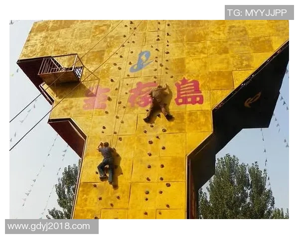 北京攀岩队状态分析与表现评估的全面数据研究与解读