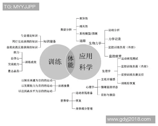 上海排球队引领排球技术革新十大趋势解析