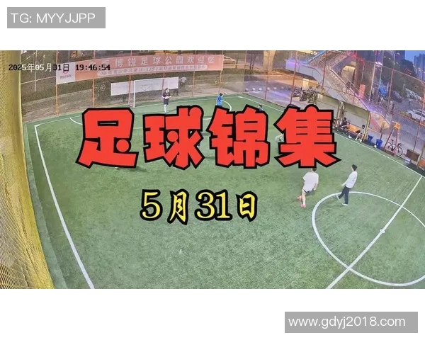 中国野球排名中的足球明星影响力与表现分析 中国野球排名中的足球明星影响力与表现分析