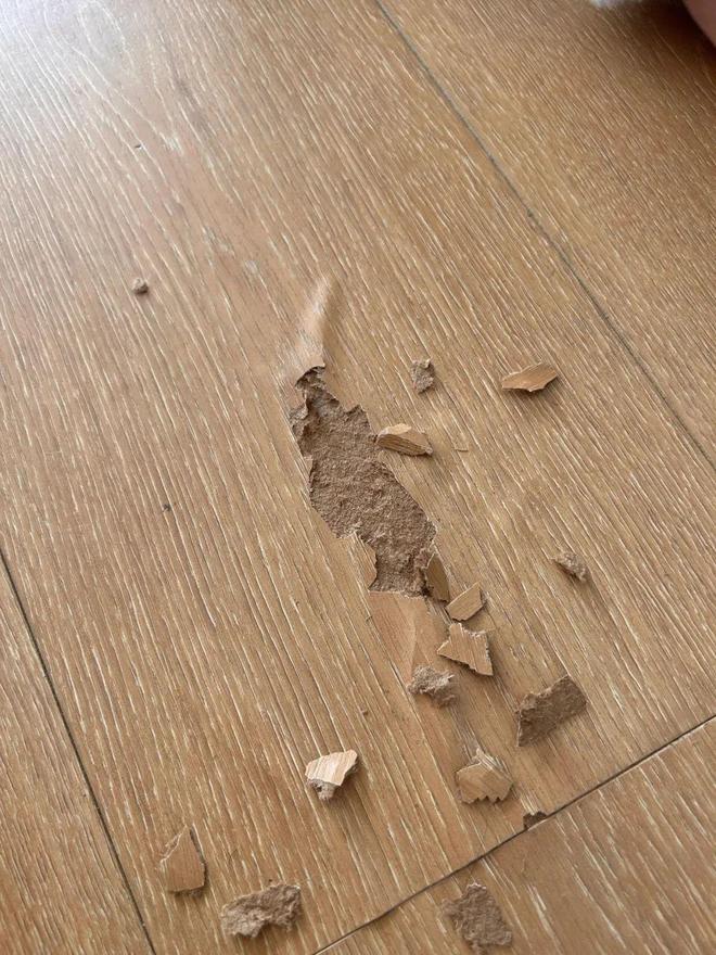 星空·综合体育官网倡议各人：不论屋子巨细装修时“这5样工具”必然要买贵的！(图11)